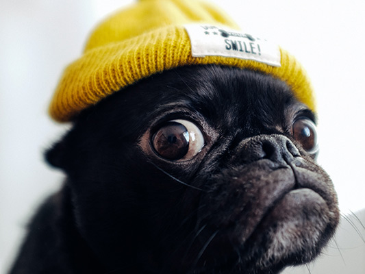 What is Ransomware? | Com Pro Vancouver