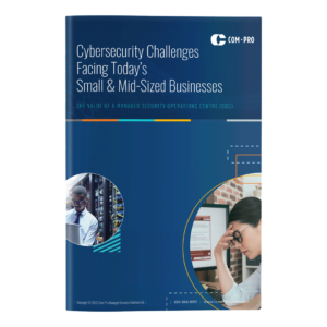 Download Cybersecurity Challengges Facing Today's Small and Medium Sized Businesses