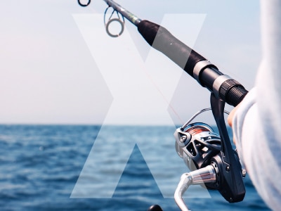 What is Phishing?
