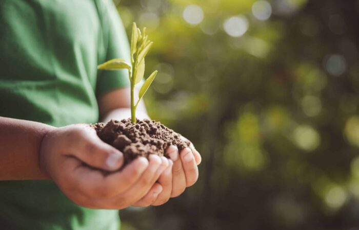 Com Pro's Earth Day Tree Planting Initiative