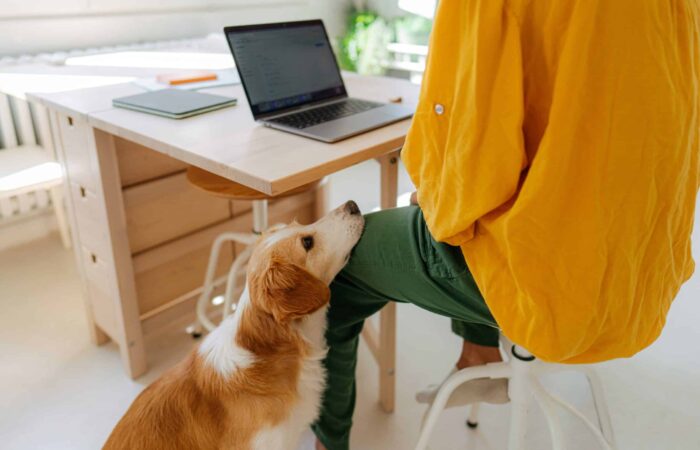 Achieve a Healthy Work-Life Balance